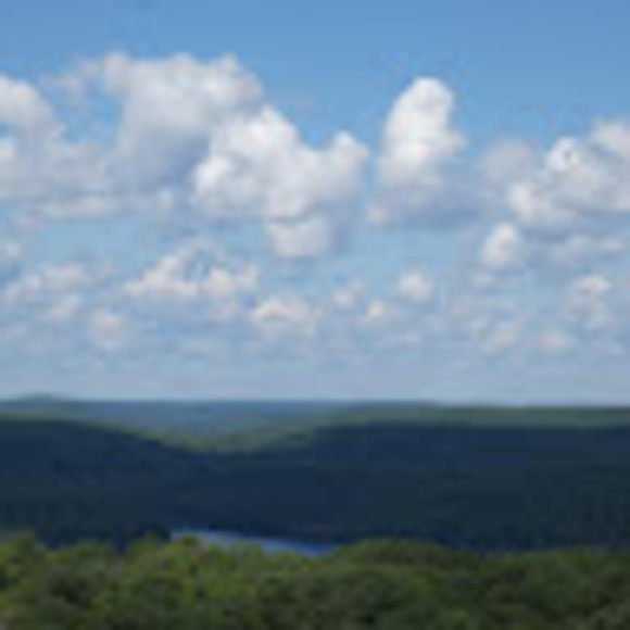 Meet your Posher, Regan - Picture 1 of 1